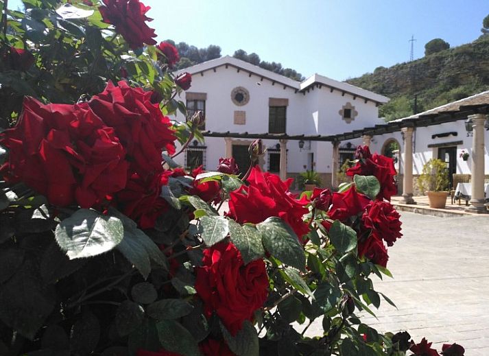 Verblijf 14101905 • Bed and breakfast Andalusie • Hacienda Puerto De Las Muelas 