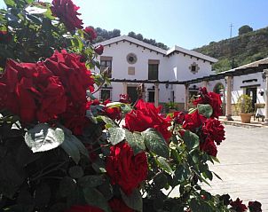 Guest house 14101905 • Bed and Breakfast Andalusia • Hacienda Puerto De Las Muelas 